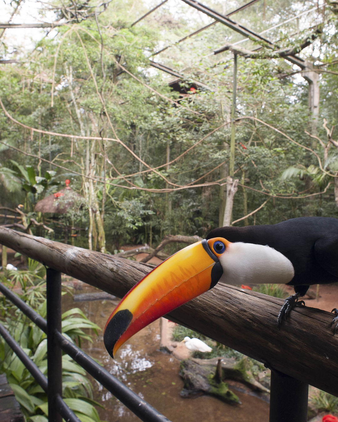 Parque das Aves
